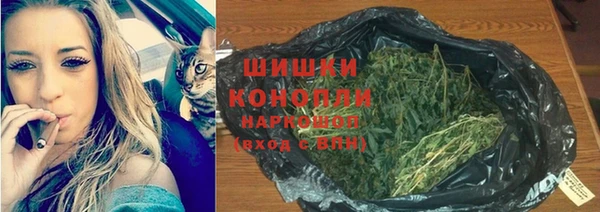 сатива Абдулино