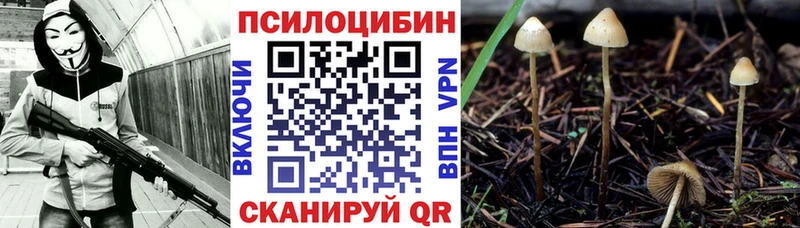 Галлюциногенные грибы ЛСД Вичуга